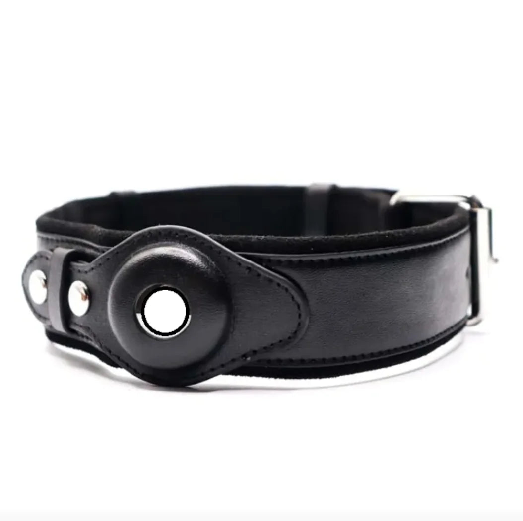 Leather Dog Collar with Location Tracker holder
