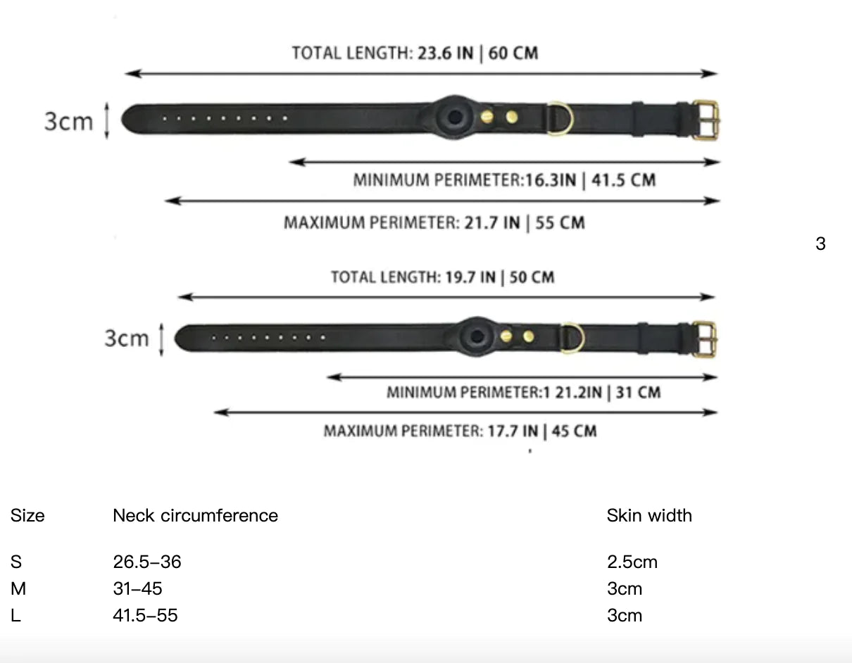 Leather Dog Collar with Location Tracker holder