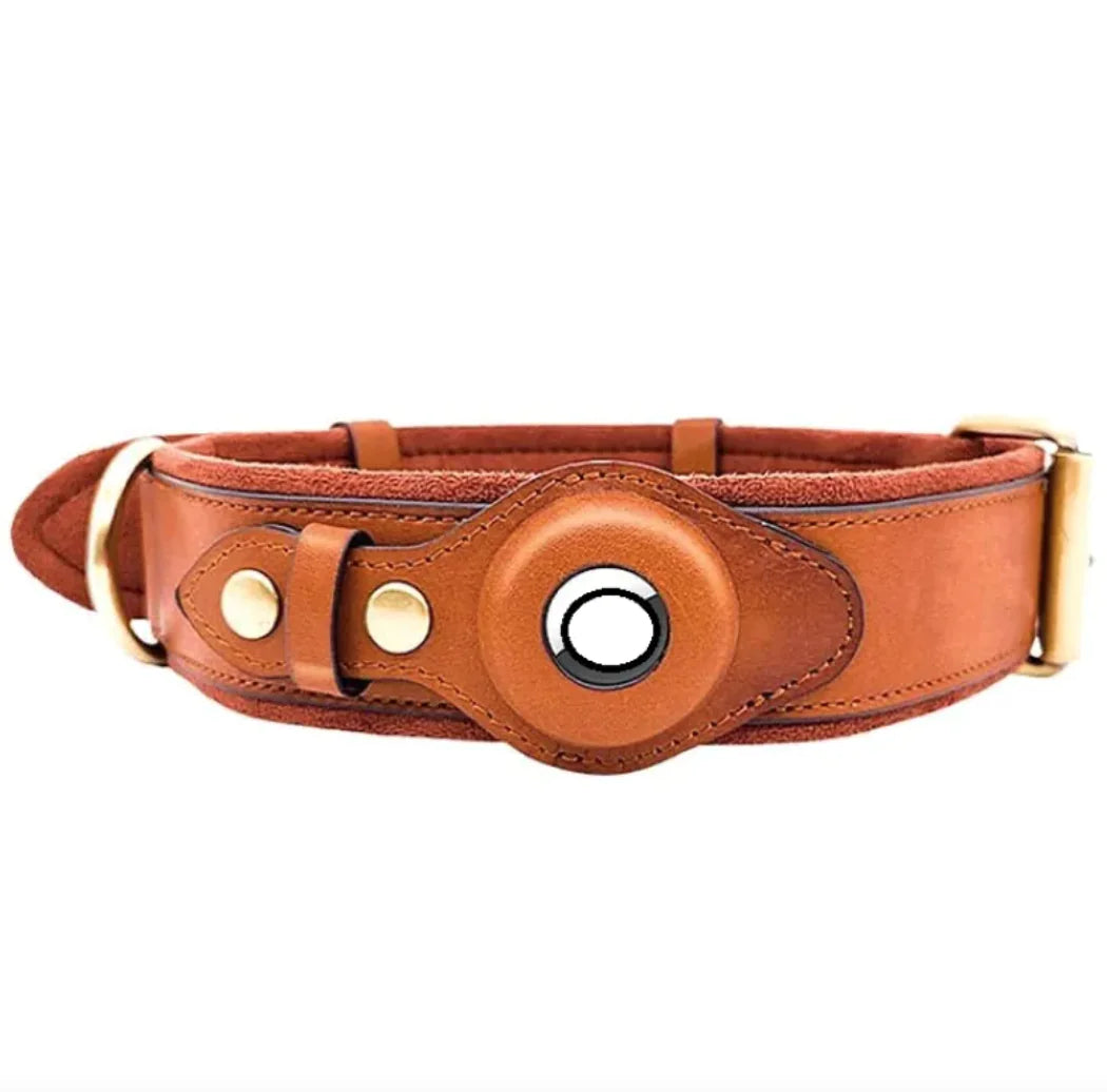 Leather Dog Collar with Location Tracker holder