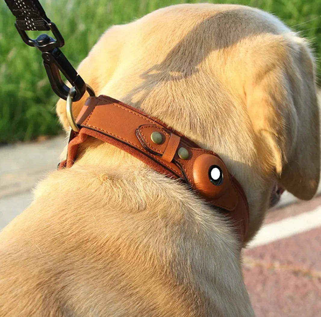 Leather Dog Collar with Location Tracker holder