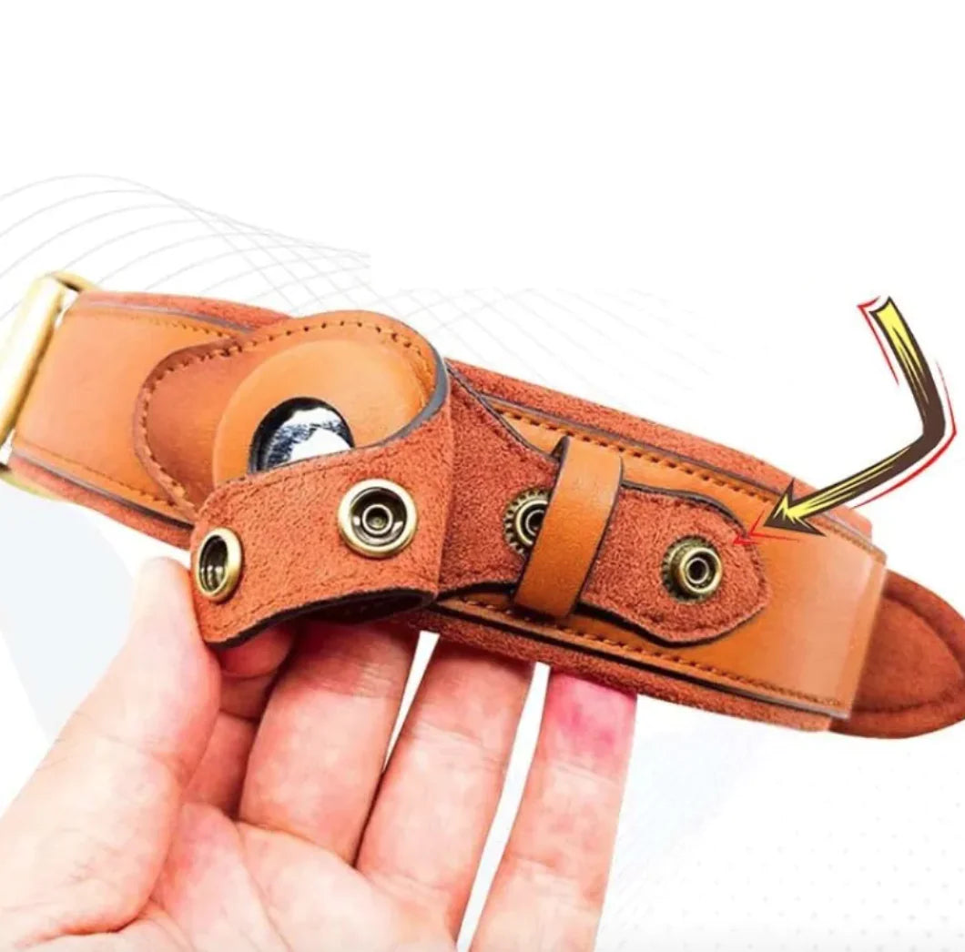 Leather Dog Collar with Location Tracker holder